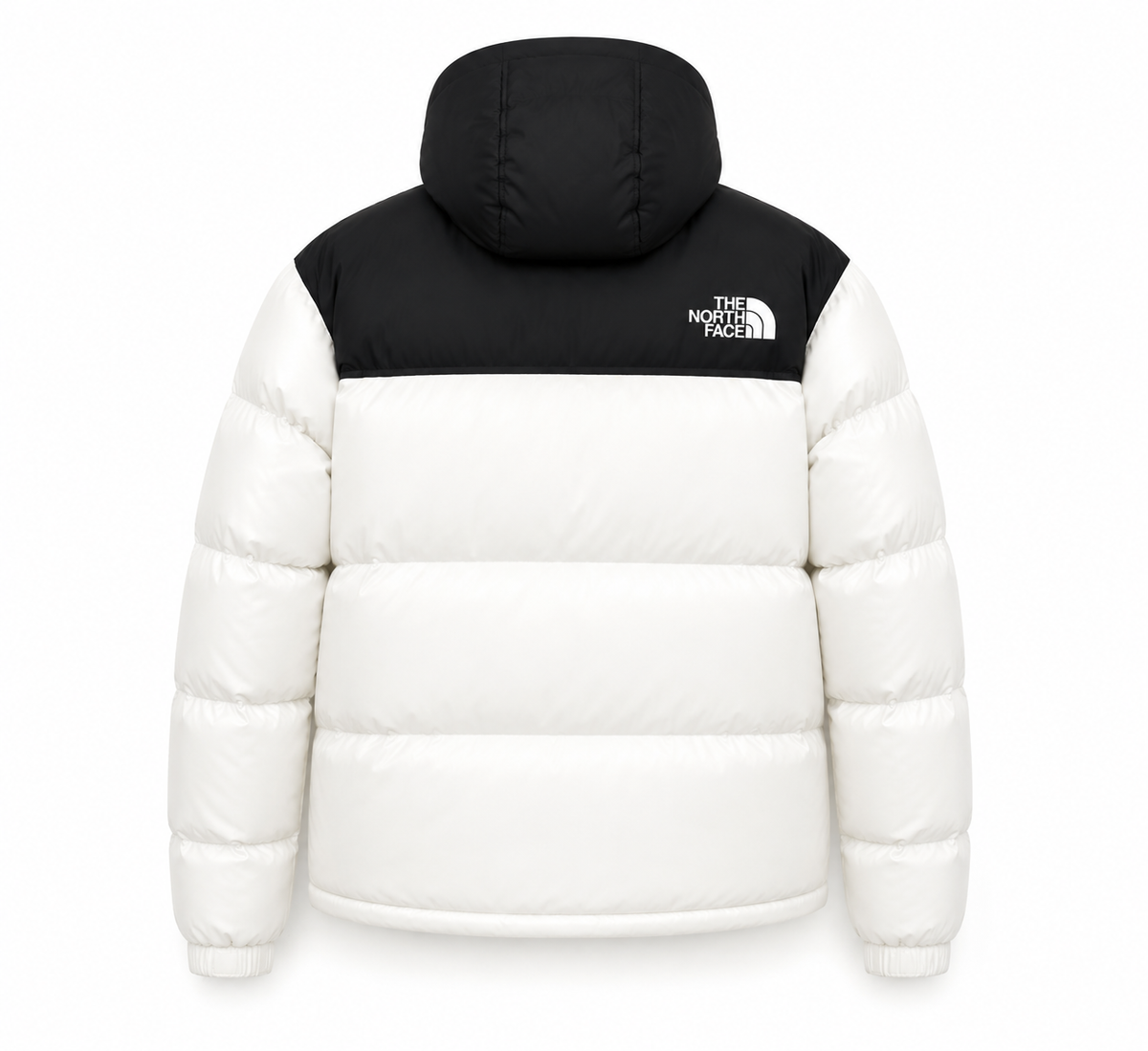 The North Face Viral Jacket